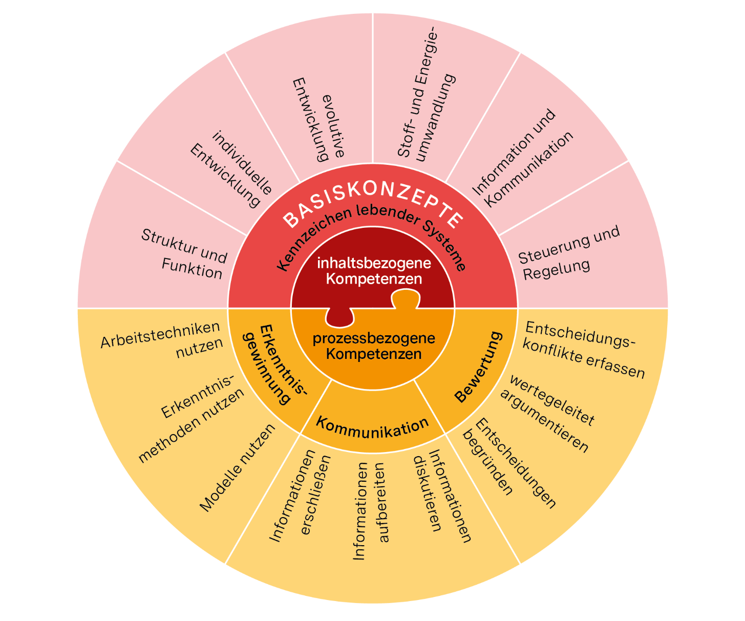 Zieldimensionen des Unterrichts sind inhaltsbezogene und prozessbezogene Kompetenzen. Die inhaltsbezogenen Kompetenzen beziehen sich auf die Kennzeichen lebender Systeme. Diese sind in sechs Basiskonzepten kategorisiert, die im Fließtext erläutert sind. Die prozessbezogenen Kompetenzen sind in die Kompetenzbereiche 